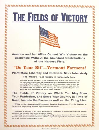 The Fields of Victory