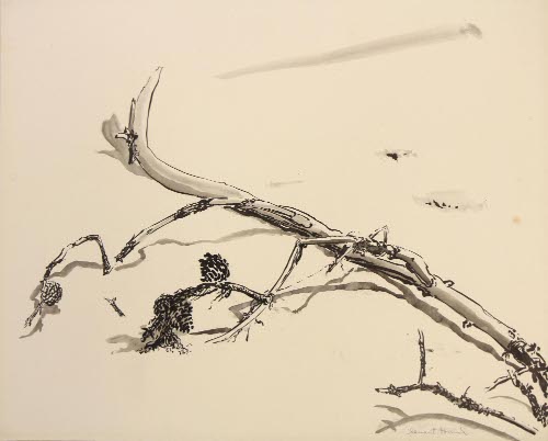 Sketch of a Plant