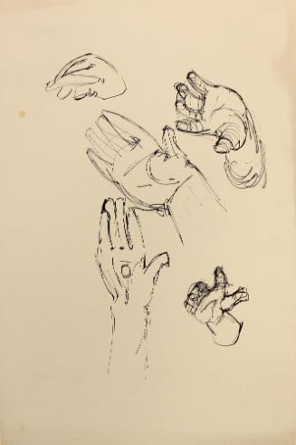 HAND STUDY