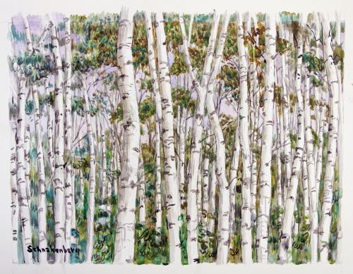 A Grove of Birches