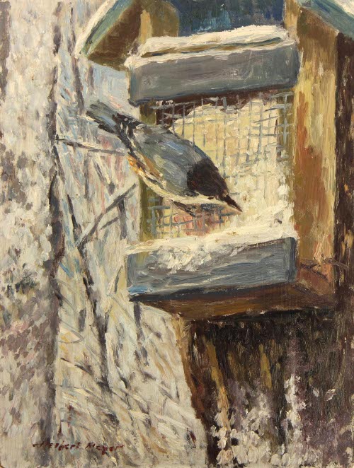 Nuthatch