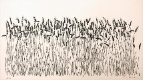 Wheat Field