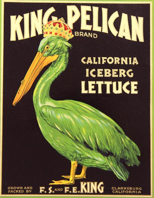 King Pelican Lettuce label