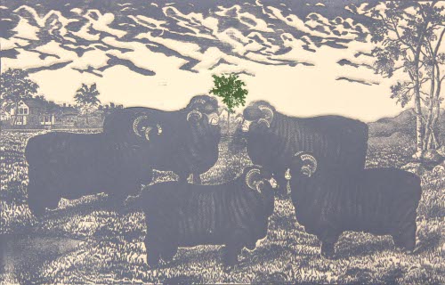 [SHEEP]