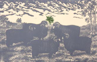 [SHEEP]