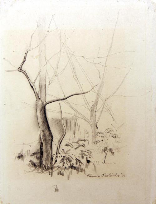 Trees