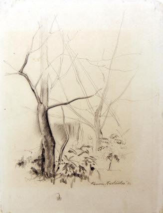 Trees
