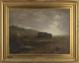 Bottomlands