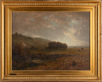 Bottomlands