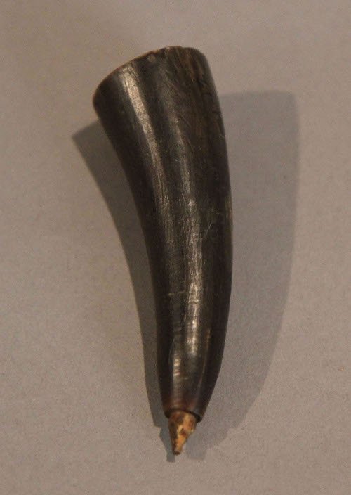 Horn tip