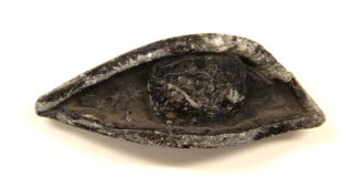 Udjat eye