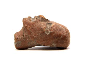 Head
