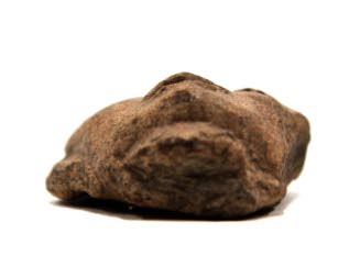 Head