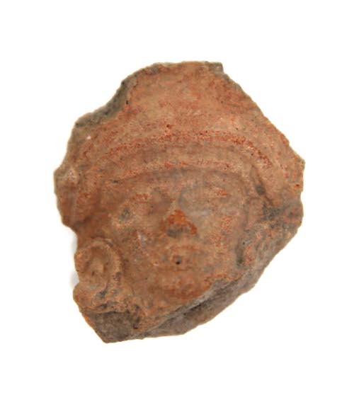 Head