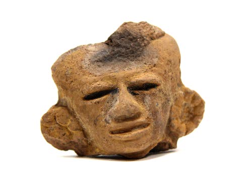 Head