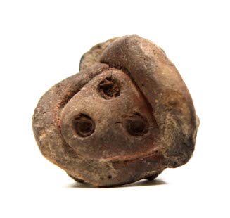 Head