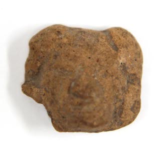 Head