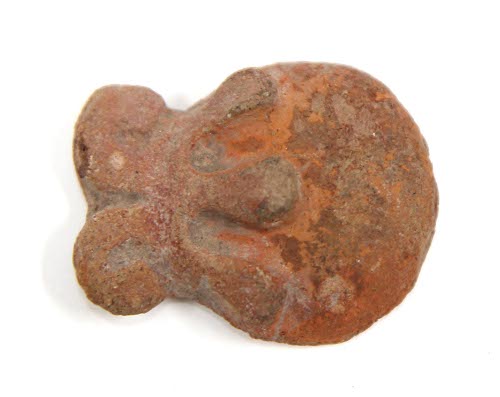 Head