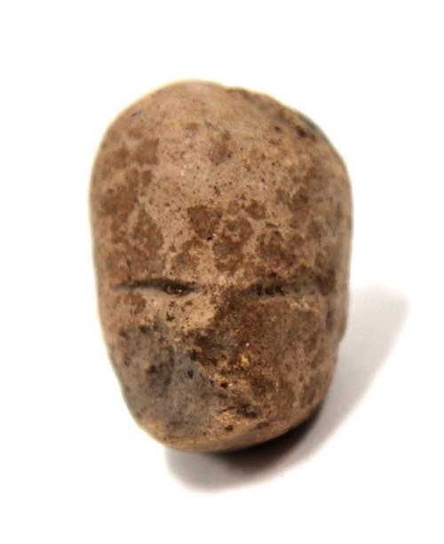 Head