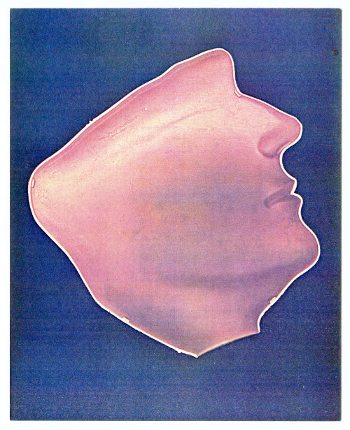 Seasons, Man in Profile
