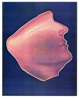 Seasons, Man in Profile