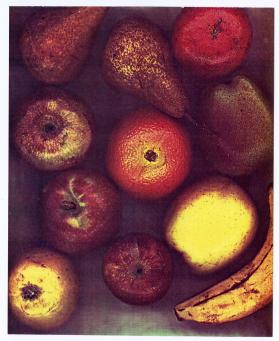 Seasons, Fruits