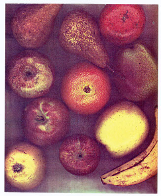 Seasons, Fruits