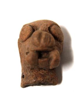 Animal head