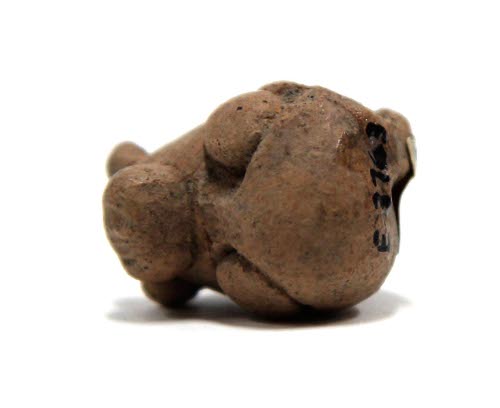 Head of pisote