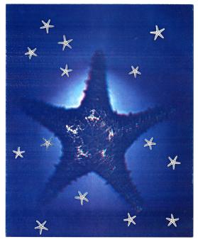 Seasons, Star