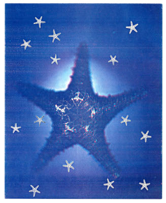 Seasons, Star