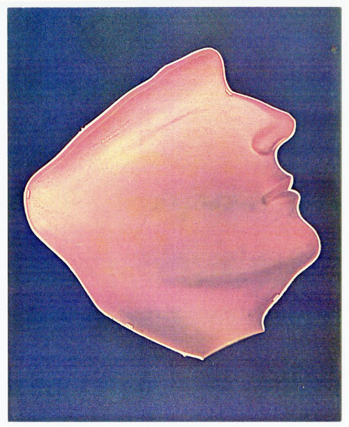 Seasons, Man in Profile
