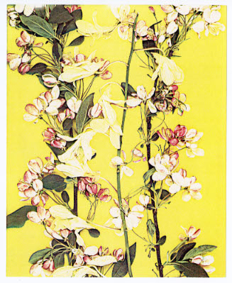 Seasons, Flowers
