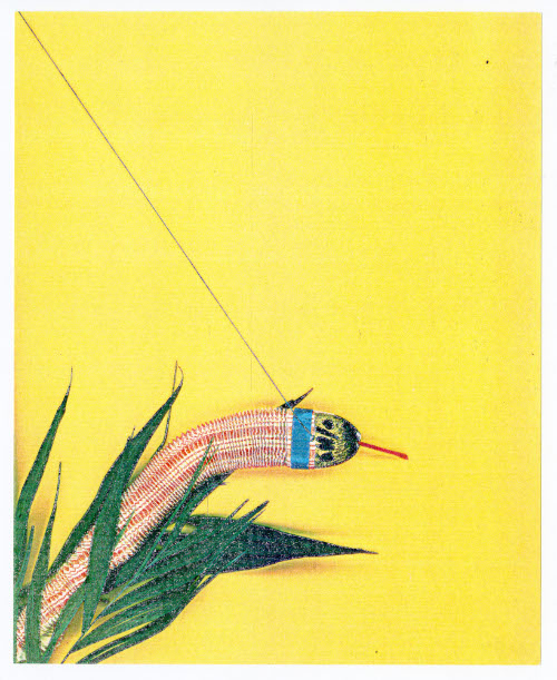 Seasons, Toy Snake
