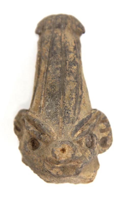 Head