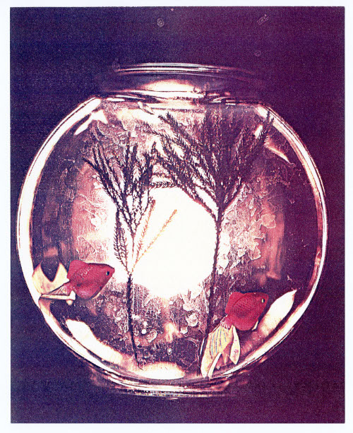 Seasons, Fish Bowl