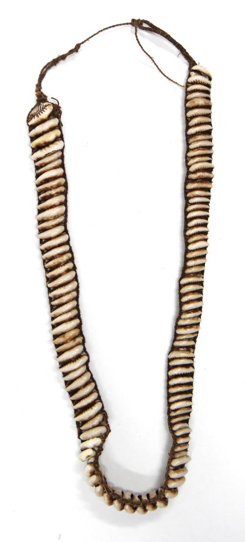 Shell necklace