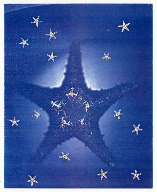 Seasons, Star