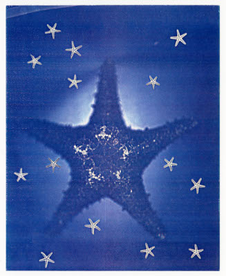 Seasons, Star