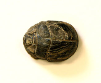 Scarab