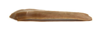 Flint implement or blade