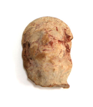 Head fragment
