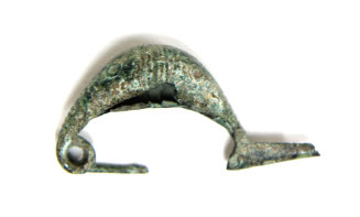 Fibula