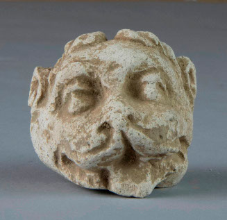 Head of lion