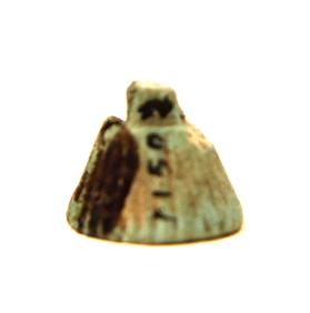Amulet