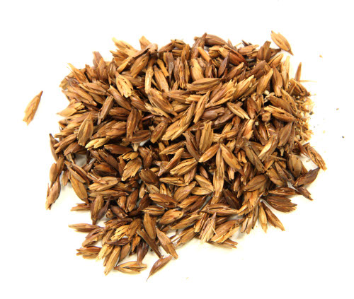 Wheat seeds, or grain pieces