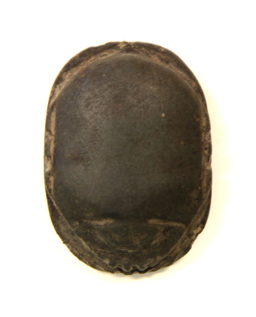 Scarab