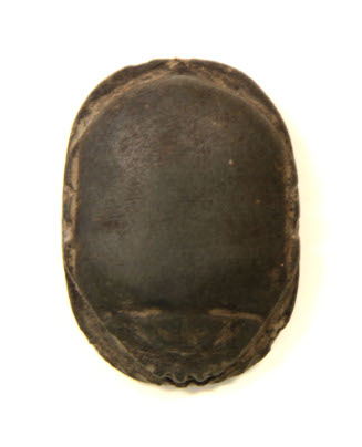 Scarab