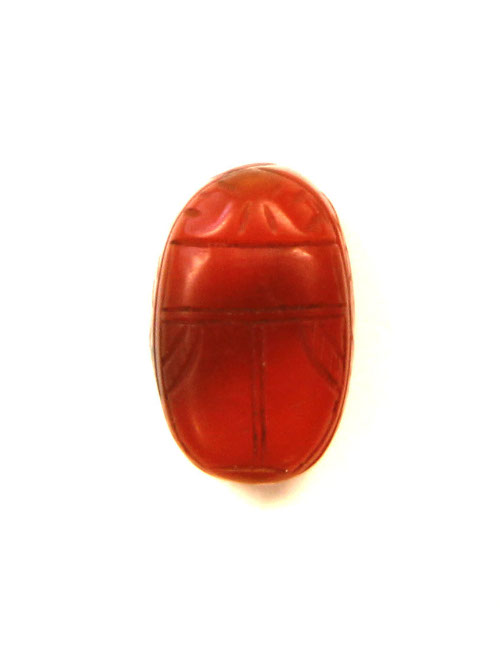 Scarab