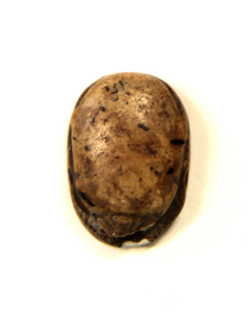 Scarab